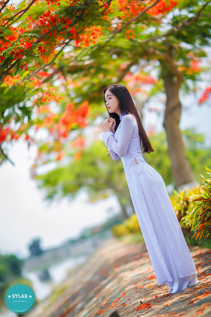 少女的世界在線完整免費(fèi)版