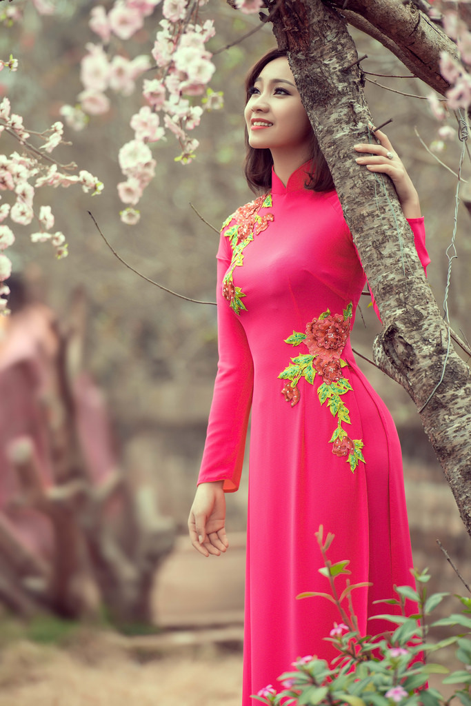 《我的妻子》